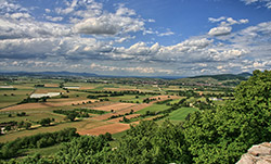 Blick in die Rheinebene