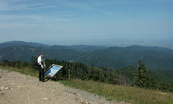 Wandern im Schwarzwald - von gemütlich bis anspruchsvoll