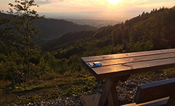 Abendstimmung im Schwarzwald