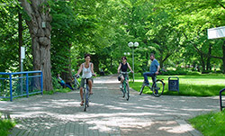 Radfahren im Markgräflerland