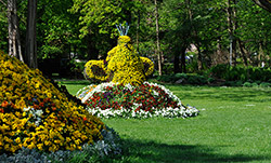 Blumenvogel im Kurpark Bad Krozingen