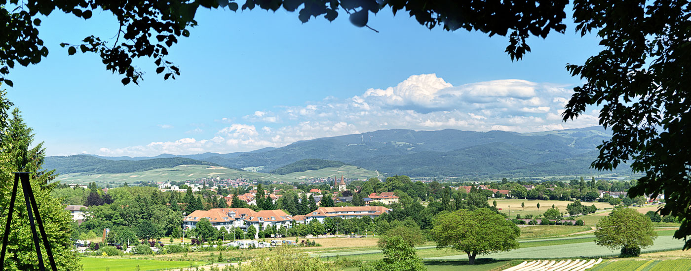 Ferienwohnungen am Mühlenbach